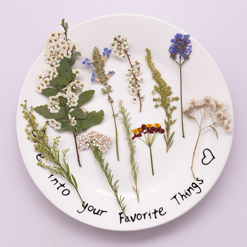500 قطعة من الزهور المجففة الك - مراجعة Dried Flower Bookmark وسعره